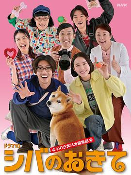 柴犬的规矩我们这群狗痴编辑部海报