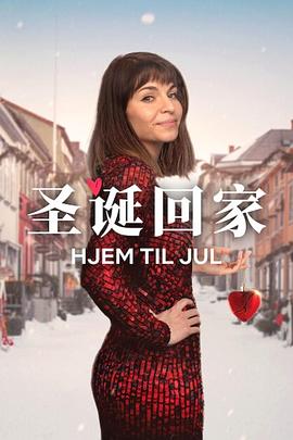 圣诞寻伴 第三季海报