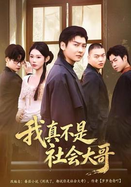 我真不是社会大哥海报剧照