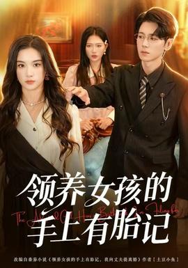 领养女孩的手上有胎记海报剧照