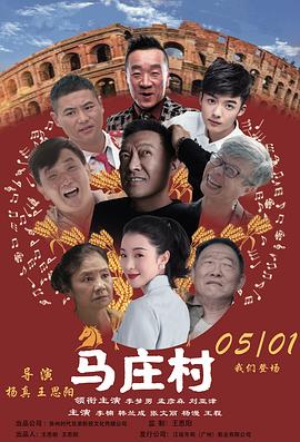 马庄村海报