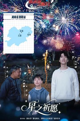 星之祈愿海报剧照